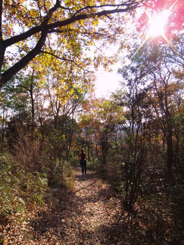 2011/12/11 Mellow Trail Session in 小野アルプス _b0220886_16583877.jpg