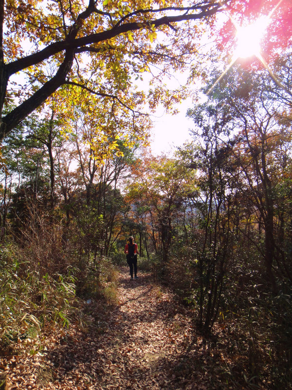 2011/12/11 Mellow Trail Session in 小野アルプス　_b0220886_16583877.jpg