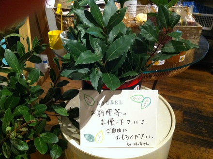 またパーティー!_c0128487_072672.jpg