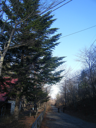 a0128290_2243423.jpg