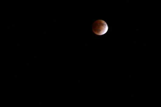 d0178891_23373841.jpg