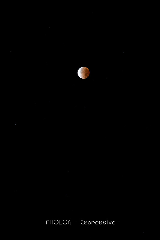 b0180294_0333857.jpg