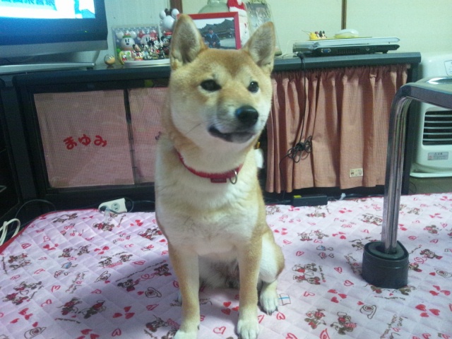 f0079202_2012198.jpg