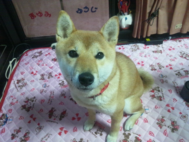 f0079202_20121994.jpg