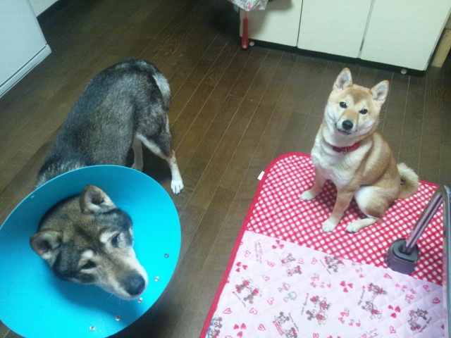 f0079202_20122056.jpg