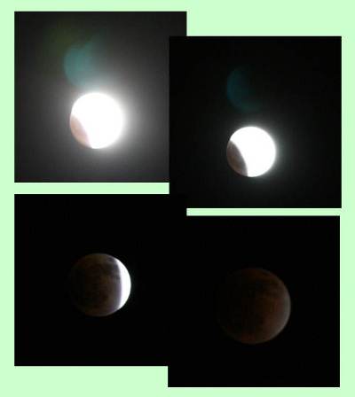 c0128303_19294480.jpg