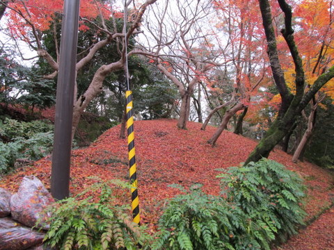 雨の中の公園_a0109506_14413881.jpg