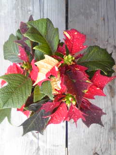 c0097806_23323329.jpg