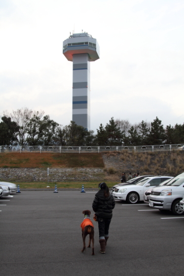 木曽三川公園イルミネーション♪（●＾∇＾●）_e0100007_21563393.jpg