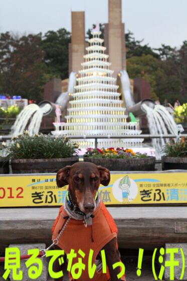 木曽三川公園イルミネーション♪（●＾∇＾●）_e0100007_2157663.jpg