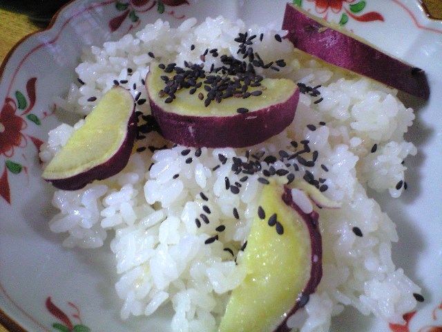 皐月庵 と 奈良マラソン2011 ルート6_a0194908_163627100.jpg