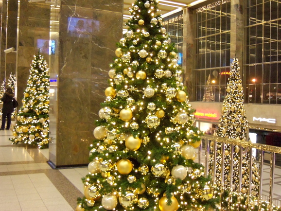 a0230008_7585346.jpg
