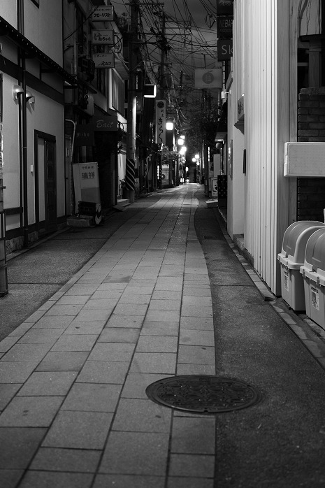 師走、宵の頃; He walks in the evening._b0128609_18448.jpg