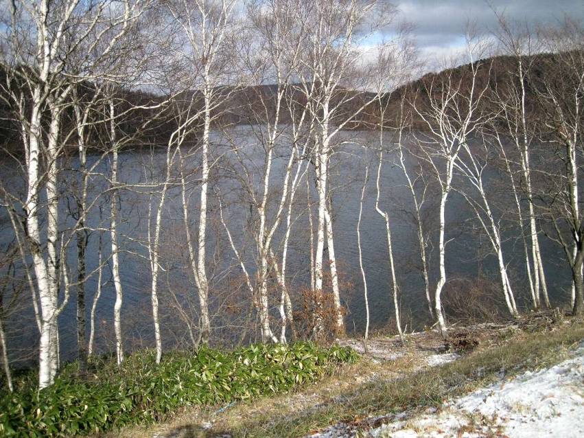 e0003910_16322859.jpg
