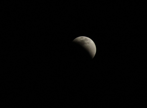 c0133118_082850.jpg