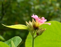 a0043520_220439.jpg