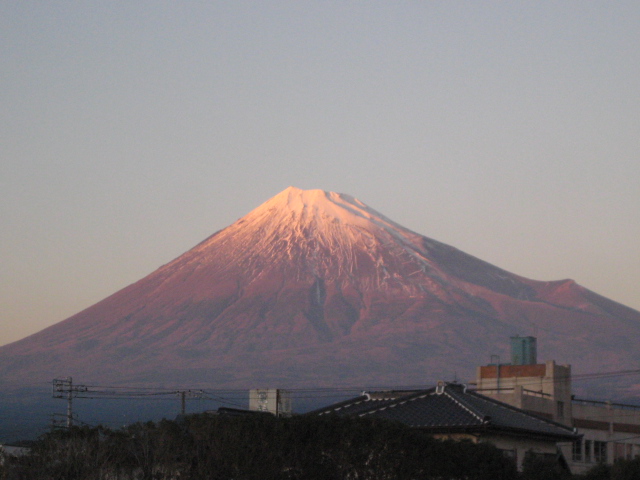 実は_b0093221_219457.jpg