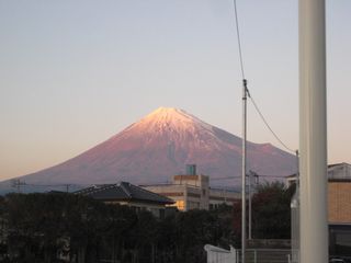 実は_b0093221_2201885.jpg