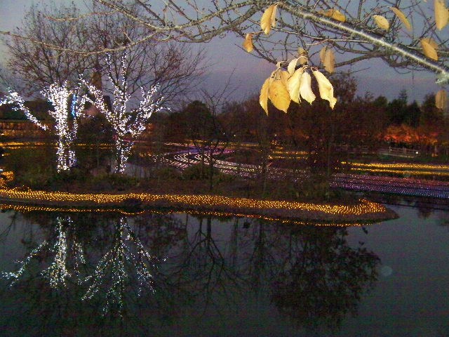 c0204121_2156423.jpg