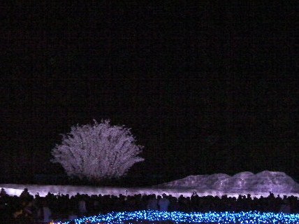 c0204121_21565497.jpg
