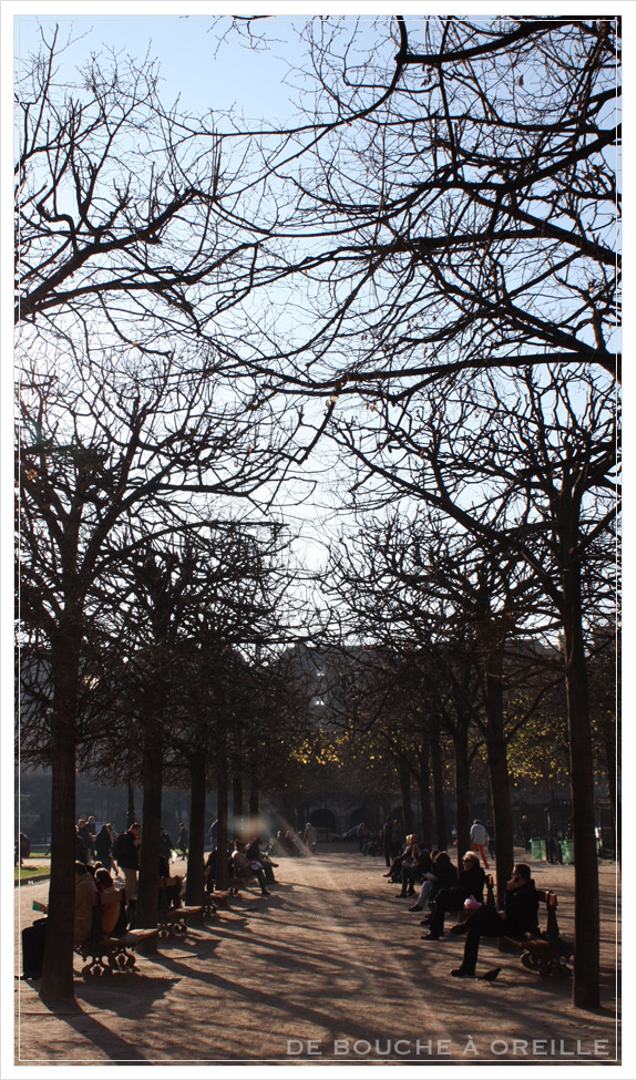 Falafel @ Place des Vosges_d0184921_14483775.jpg