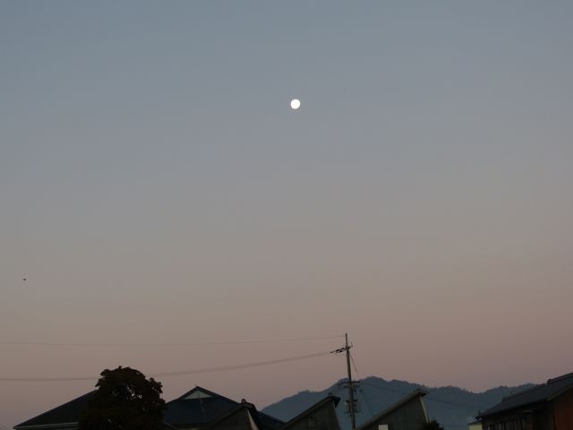 a0188023_20585538.jpg