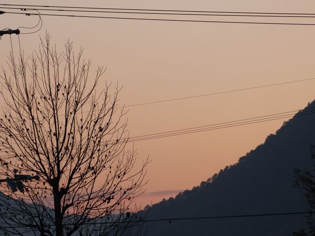 a0188023_215719.jpg