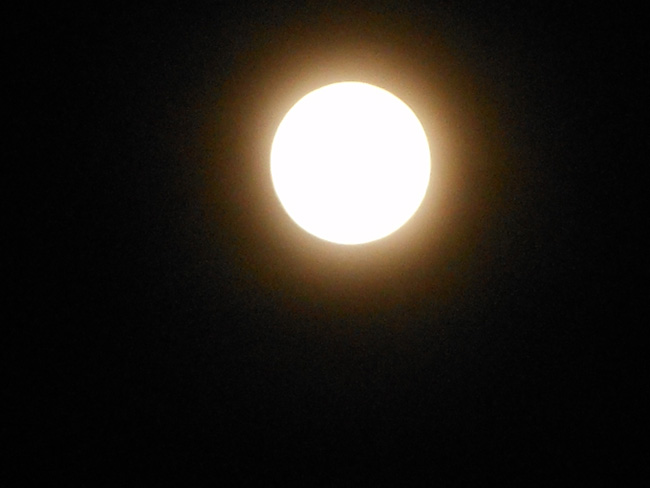 e0071225_113304.jpg