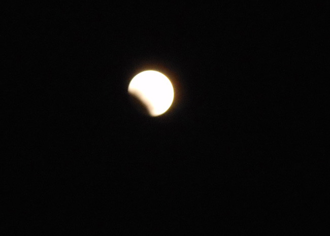 e0071225_1141489.jpg