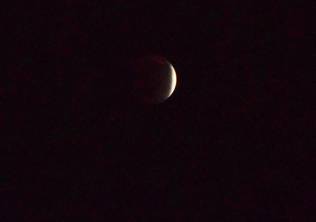 e0071225_1163283.jpg