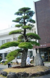 f0213825_14274029.jpg