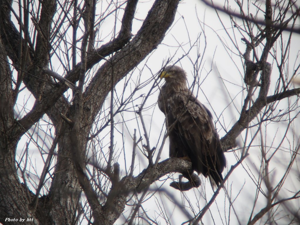 2011年12月13日 蕪栗沼 htt'sフィールド