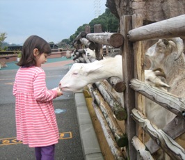 ７年ぶりの日本旅行④：　初めての動物園_f0157327_1038040.jpg