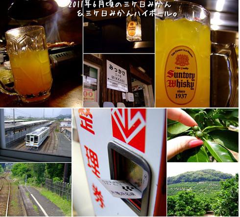 「静岡・三ケ日 三ケ日みかんが出来ました♪」_a0000029_10162214.jpg