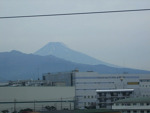 「静岡・三ケ日　三ケ日みかんが出来ました♪」_a0000029_10164921.jpg