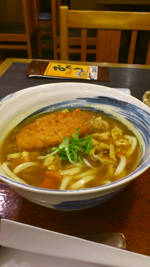 ジンクスとカレーうどん_a0116230_17313839.jpg