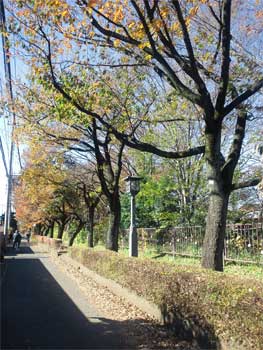 b0131531_855357.jpg