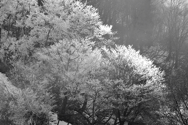 e0055138_18402512.jpg