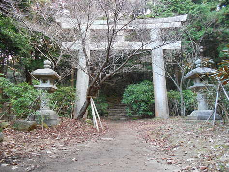 三郡往復縦走　竃門神社～宝満山～三郡山～砥石山～若杉山再び_a0206345_19492088.jpg