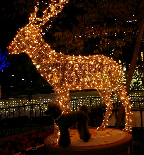 d0026745_2171620.jpg