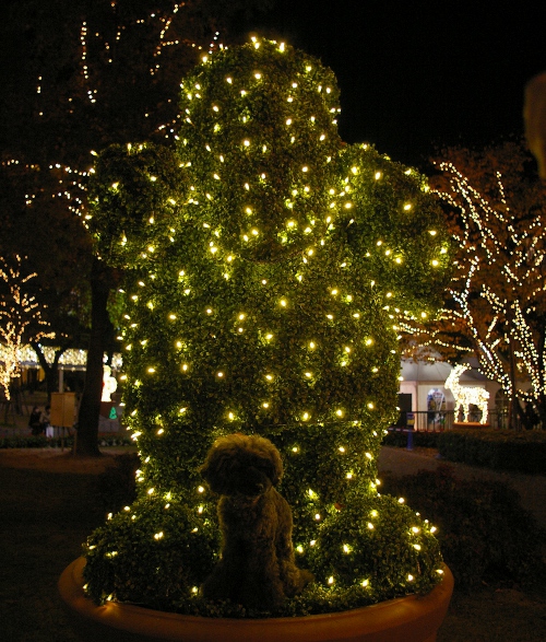 d0026745_725873.jpg