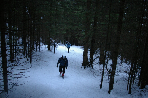 b0175255_48954.jpg