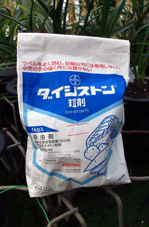 東洋蘭の虫除け　　　　　　　　　　　　　　　　　　　　　Ｎｏ．１０９０_d0103457_0125258.jpg