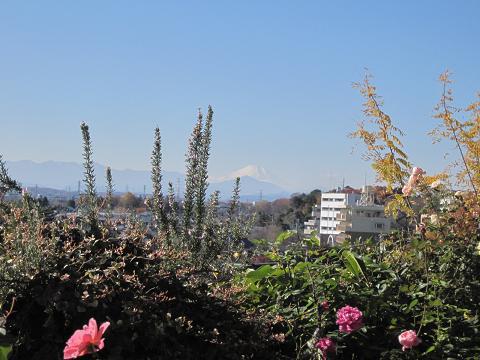d0156361_17311665.jpg