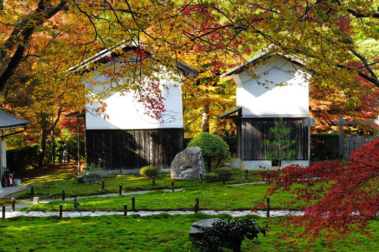 京都 勝林院 ~紅葉~_f0222161_18522457.jpg