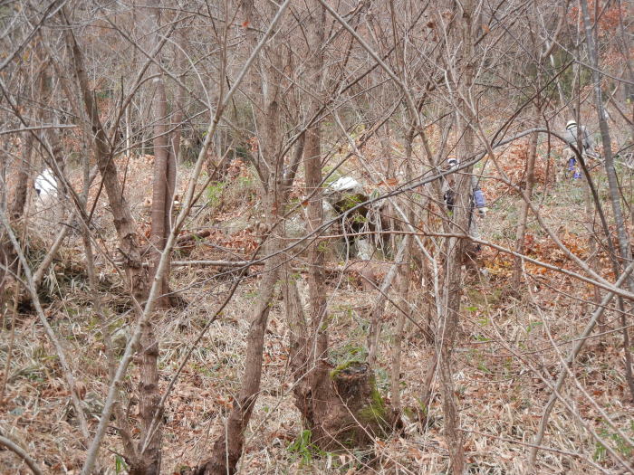 b0129962_2014371.jpg