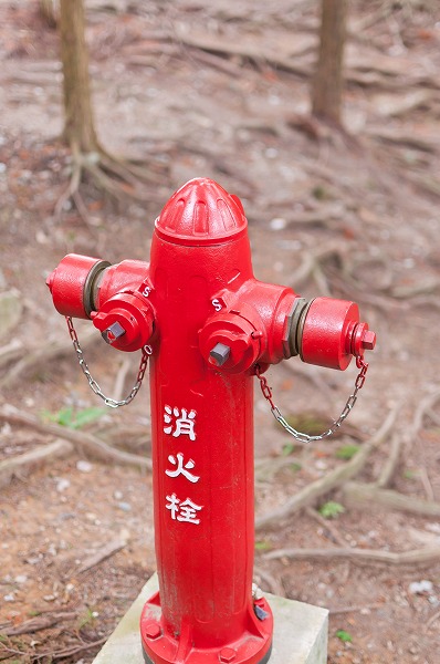 鞍馬山でハイキング気分～鞍馬寺山頂から貴船～_e0209962_1183073.jpg