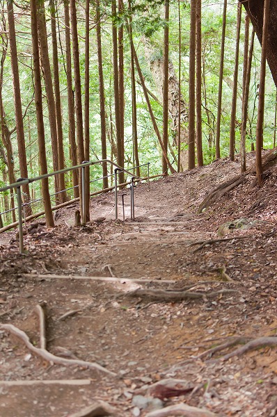 鞍馬山でハイキング気分～鞍馬寺山頂から貴船～_e0209962_2273584.jpg