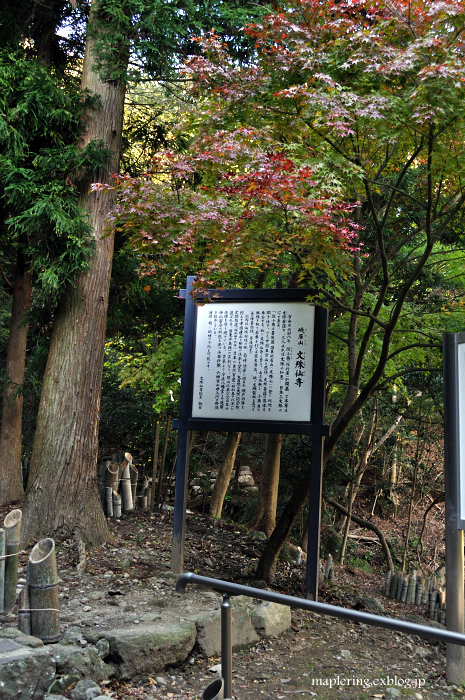 国東/文殊仙寺 御開帳_f0234062_2228194.jpg