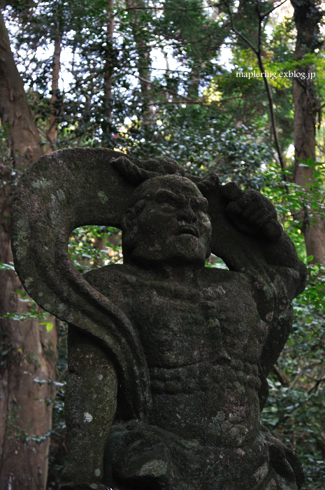 国東/文殊仙寺 御開帳_f0234062_22284428.jpg